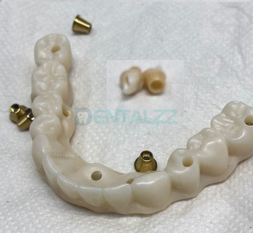 1 szt. Blok ceramiczny 3D ProMax z tlenku cyrkonu laboratorium dentystyczne CAD/CAM